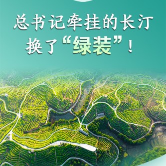 總書記牽掛的長汀，換了“綠裝”！